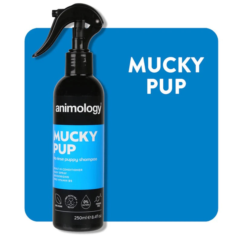 Animology No rinse Shampoo