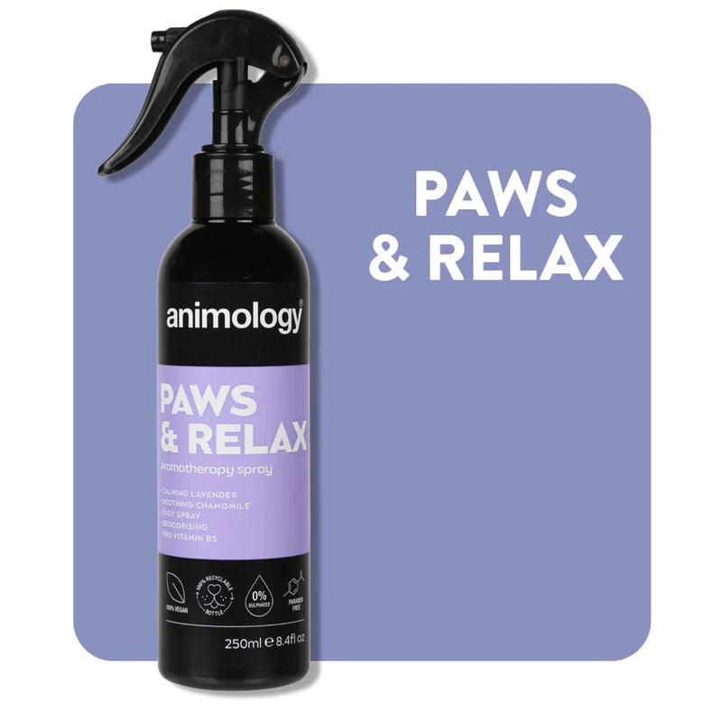 Animology No rinse Shampoo