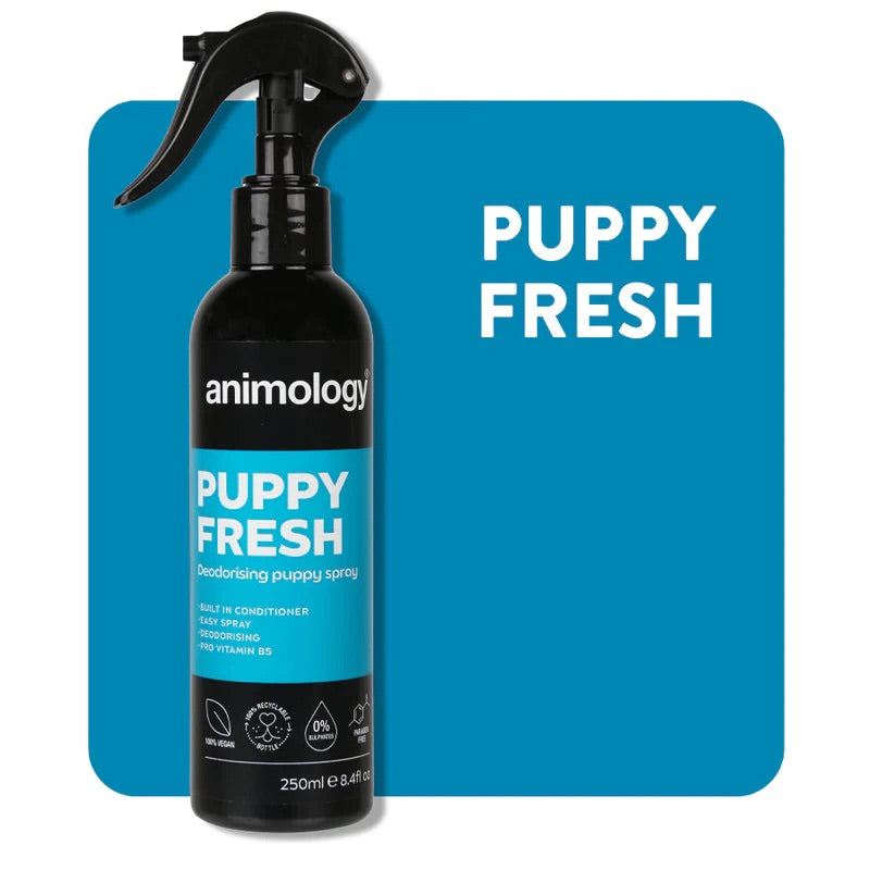 Animology No rinse Shampoo