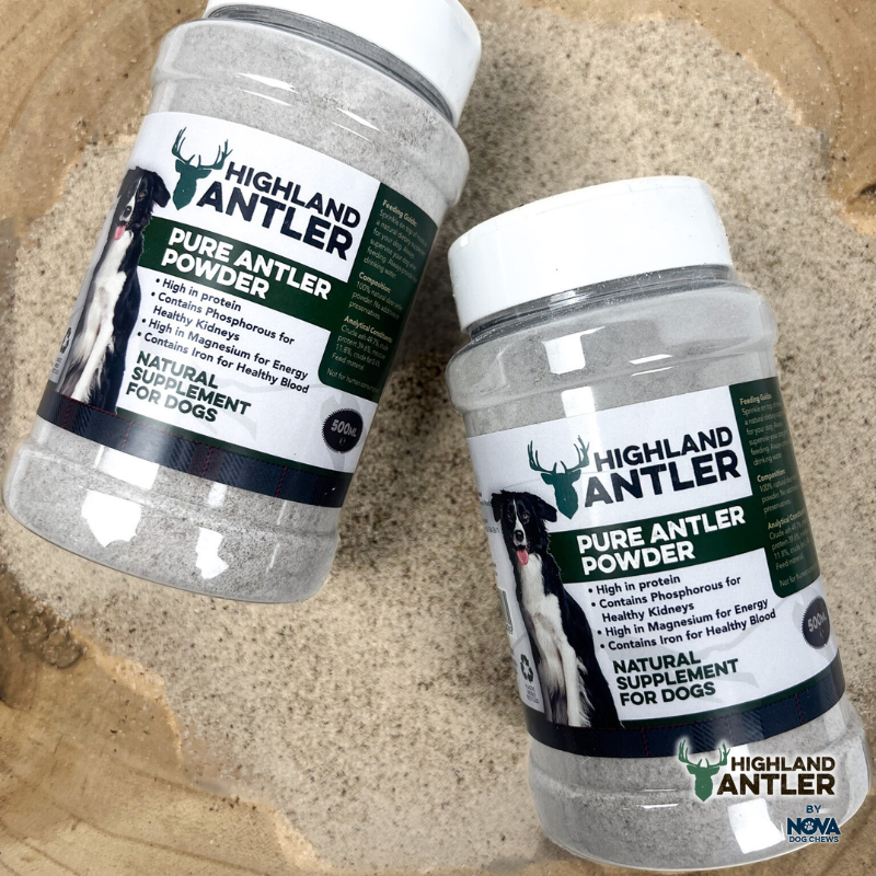 Antler Powder