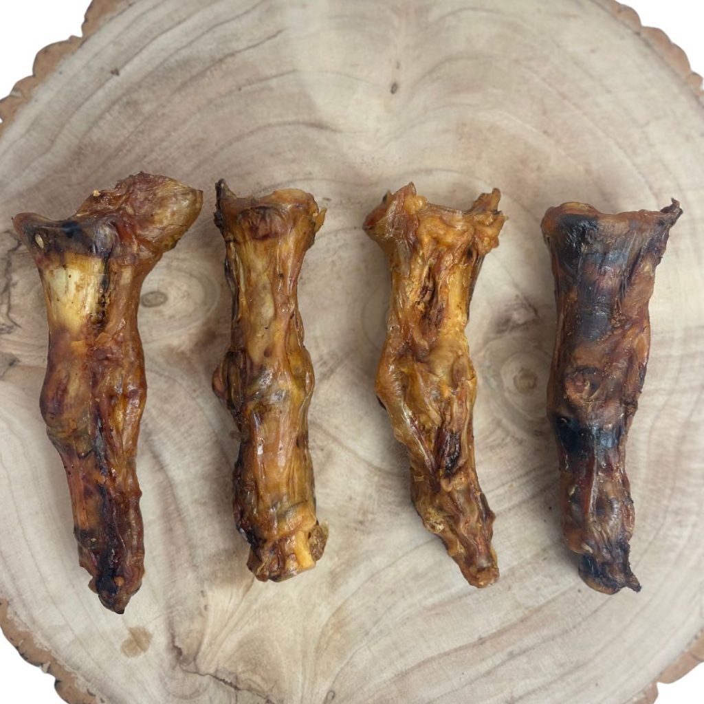 Ostrich Foot - Small