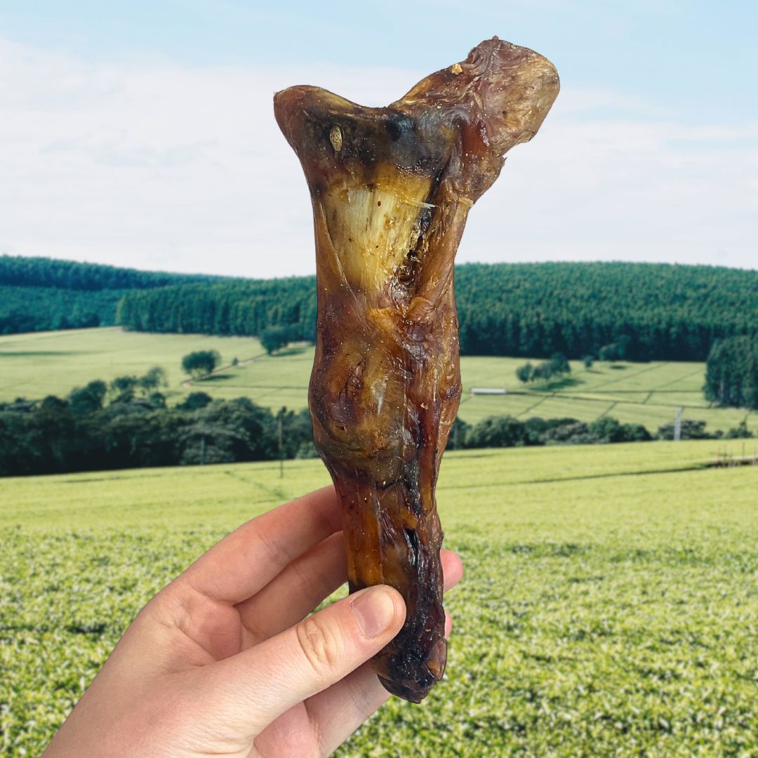 Ostrich Foot - Large