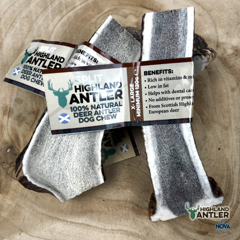 Antler - Split - Various Sizes