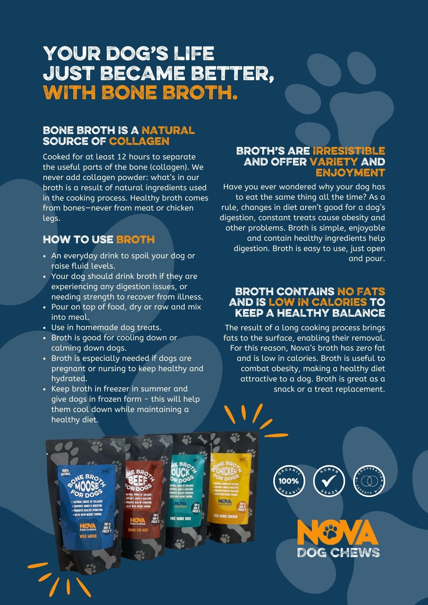 Bone Broth -