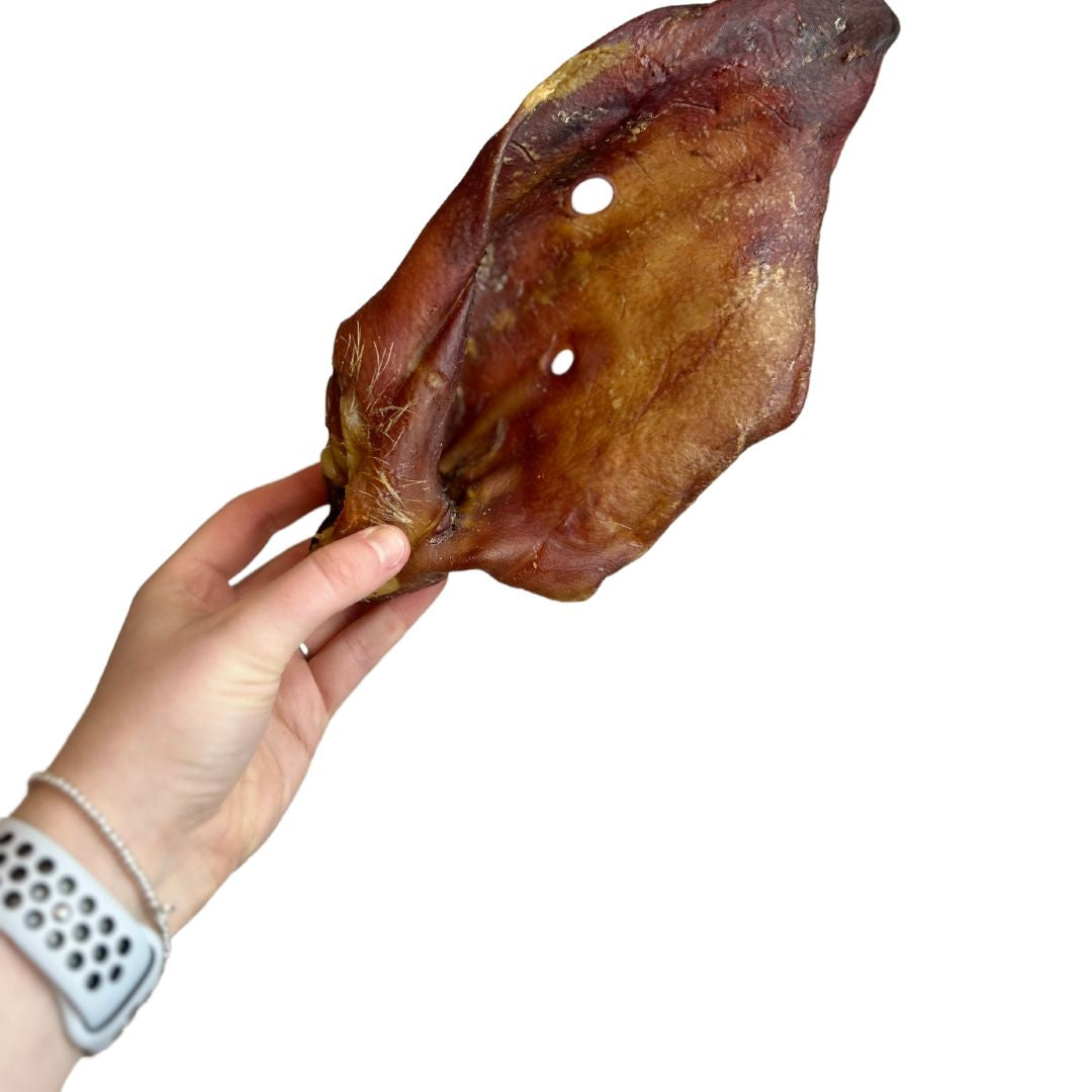 Pig Ears