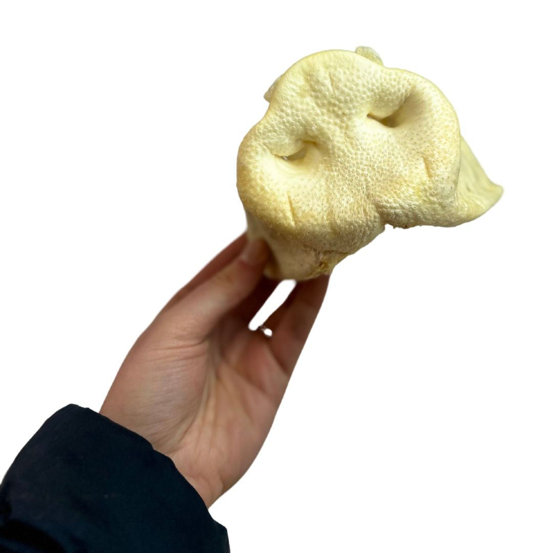 Pig snouts