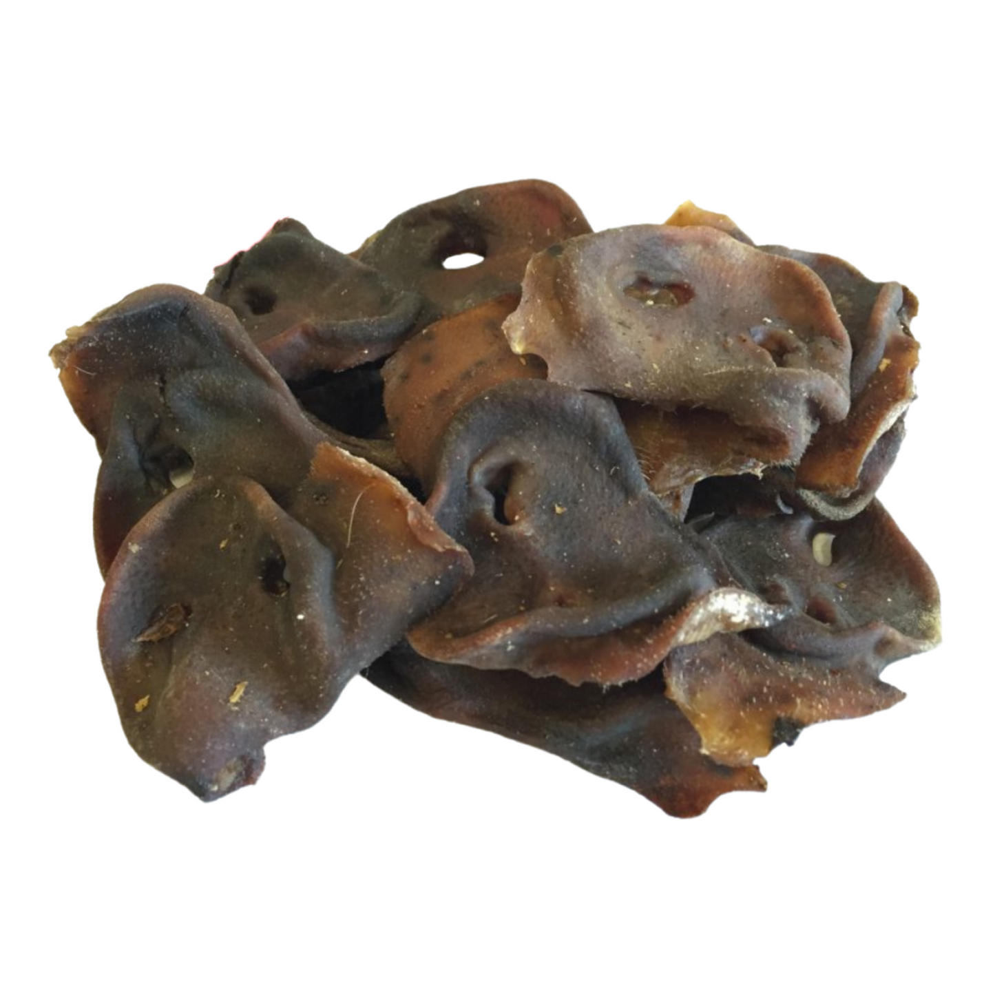 Pig snouts natural 5 pack