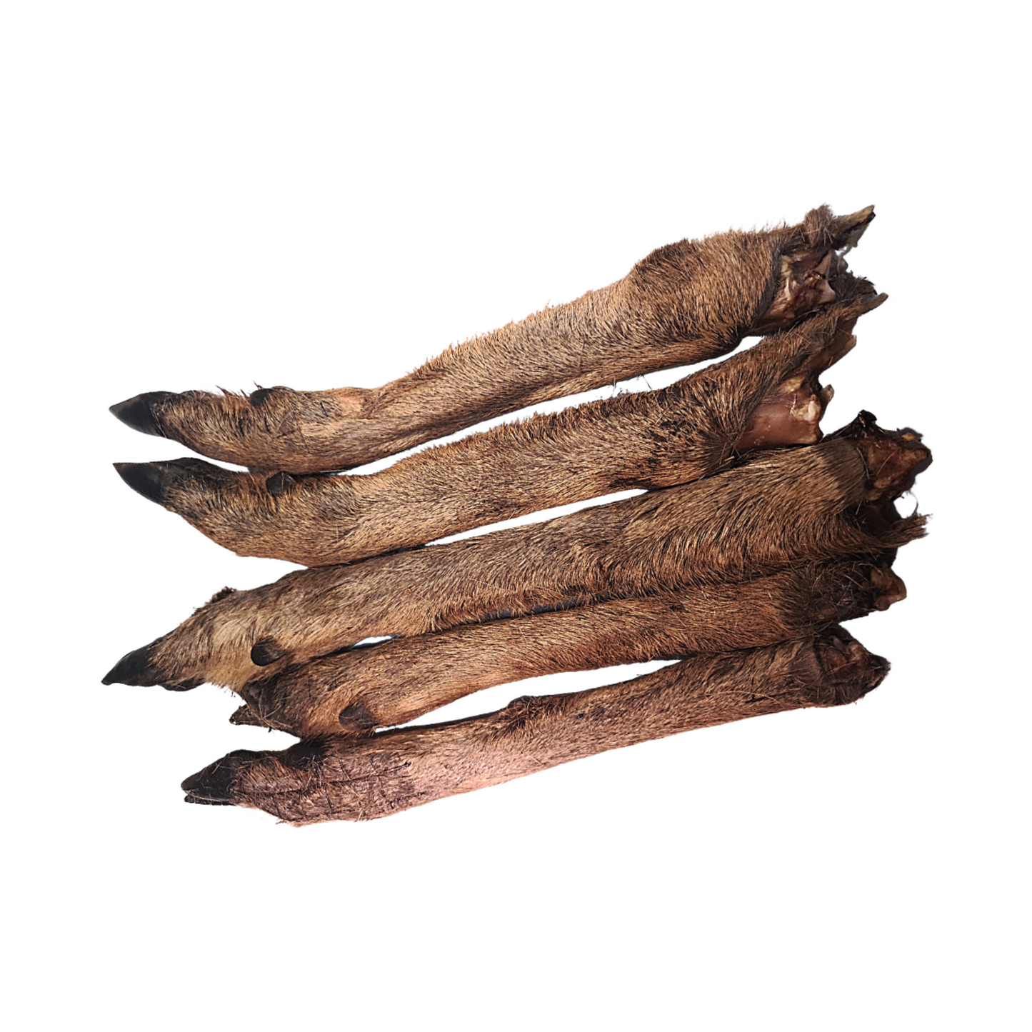 Venison (deer) Legs with fur