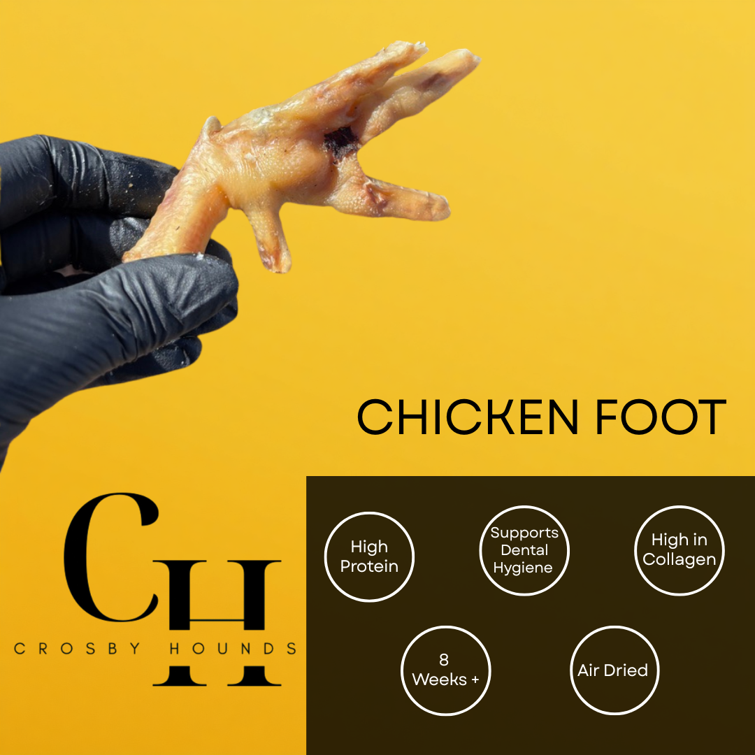 Chicken - Single Source Protein Treats & Chews