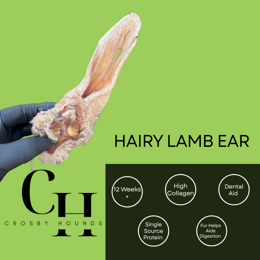 Lamb - Single Source Protein Treats & Chews