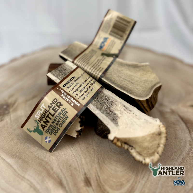 Antler - Split - Various Sizes
