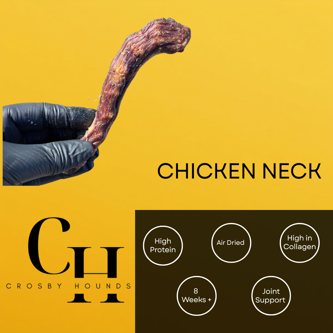 Chicken - Single Source Protein Treats & Chews
