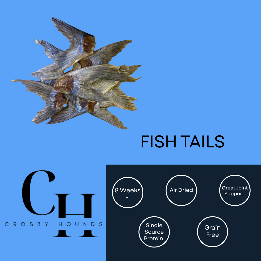 Fish - Single Source Protein Treats & Chews