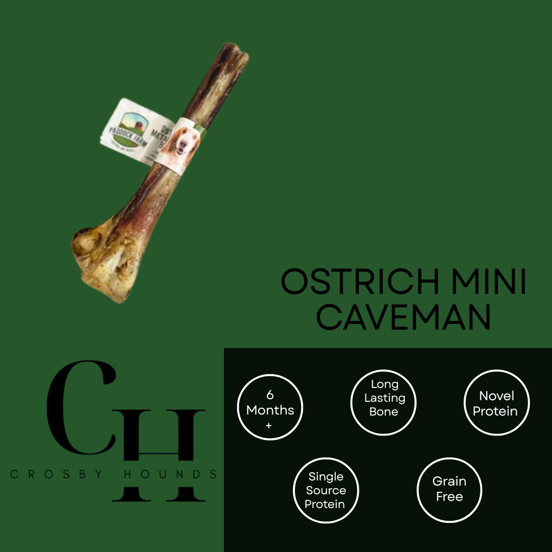 Ostrich - Single Source Protein Treats & Chews