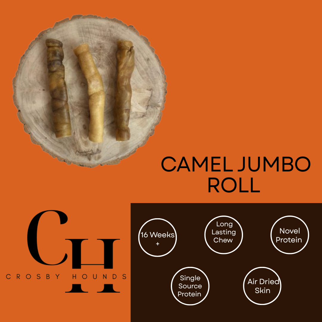 Camel - Single Source Protein Treats & Chews