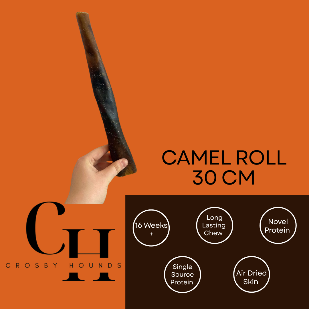 Camel - Single Source Protein Treats & Chews