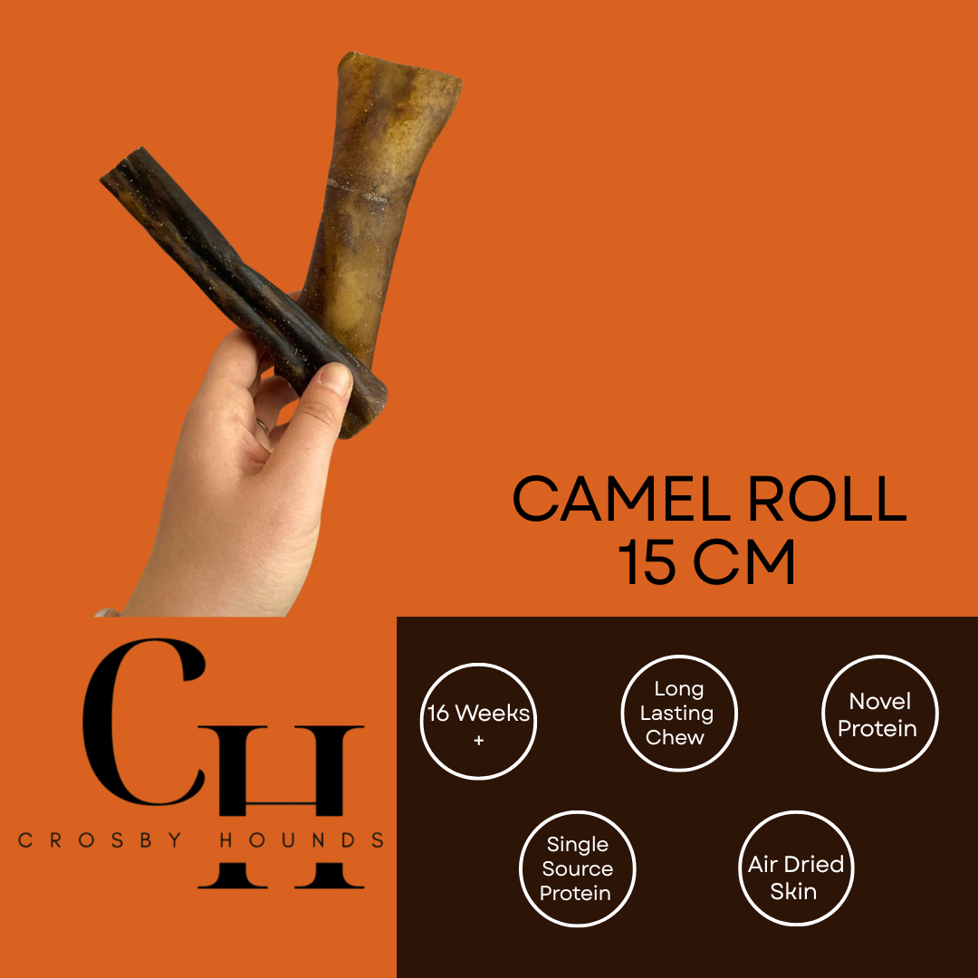 Camel - Single Source Protein Treats & Chews