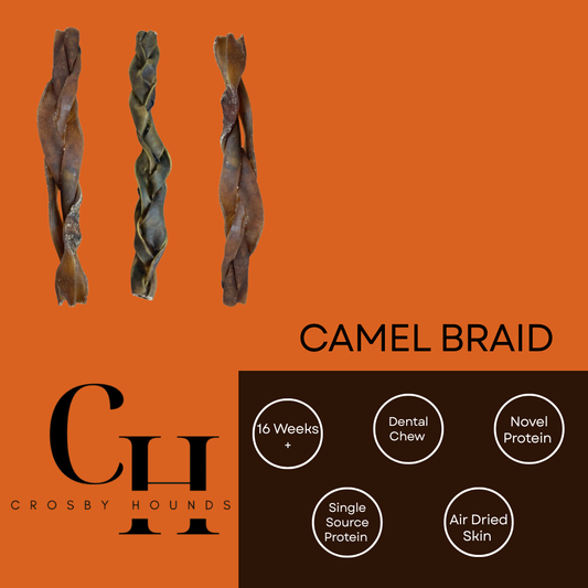 Camel - Single Source Protein Treats & Chews