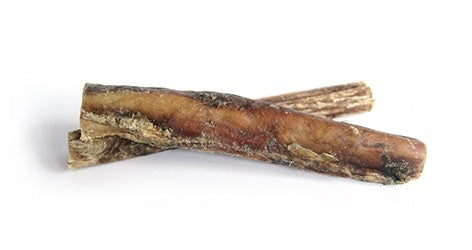 Bull Pizzle 12cm