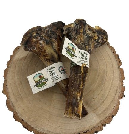 Ostrich Tibia Bone