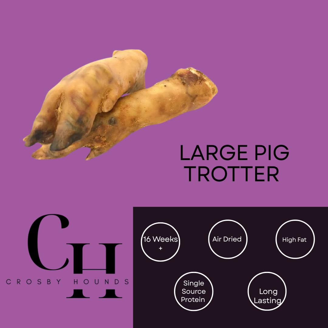 Pork / Pig - Single Source Protein Treats & Chews