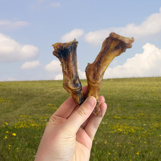 Ostrich Foot - Small