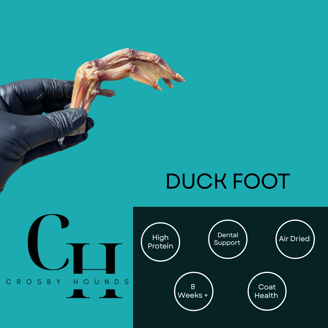 Duck - Single Source Protein Treats & Chews