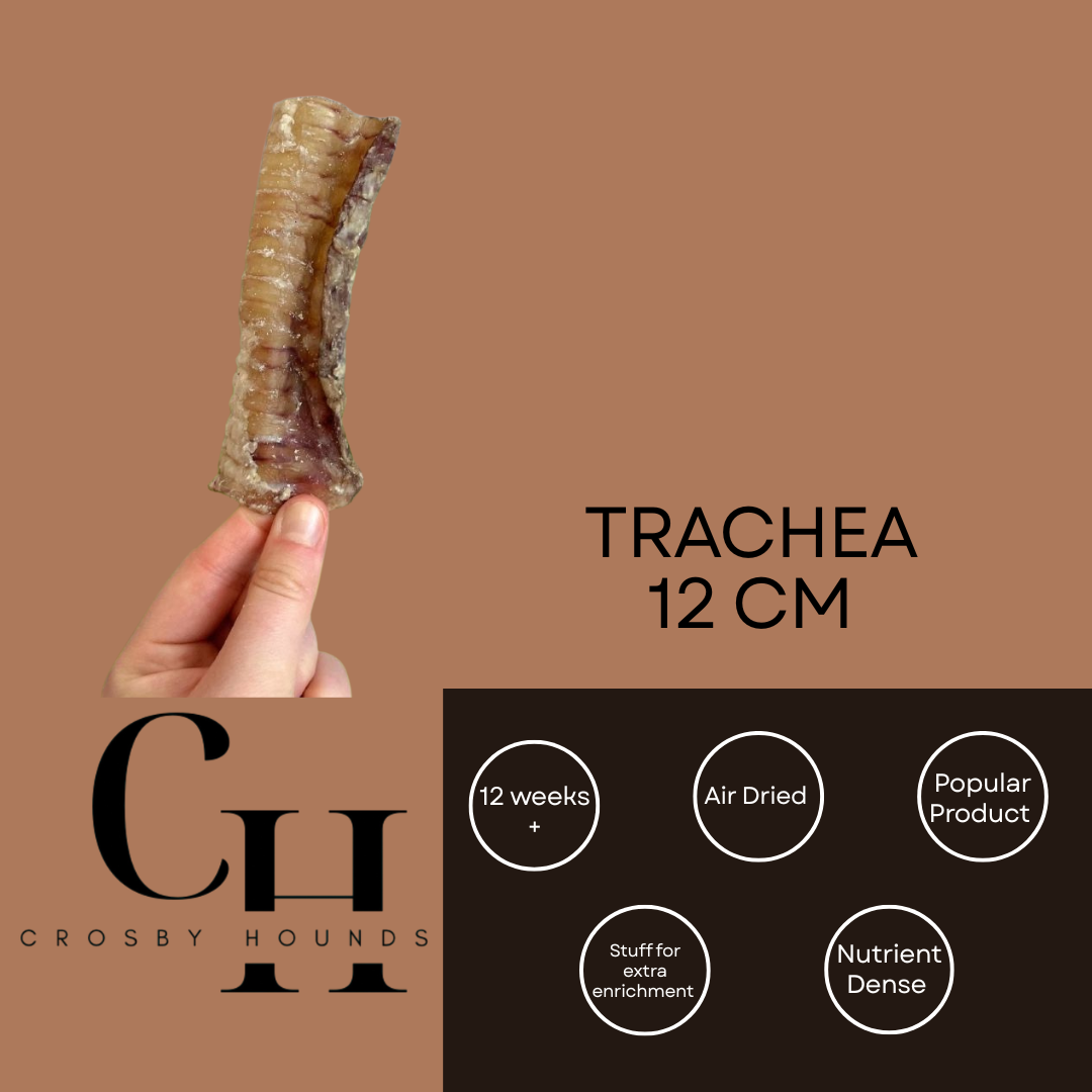 Beef - Single Source Protein Treats & Chews