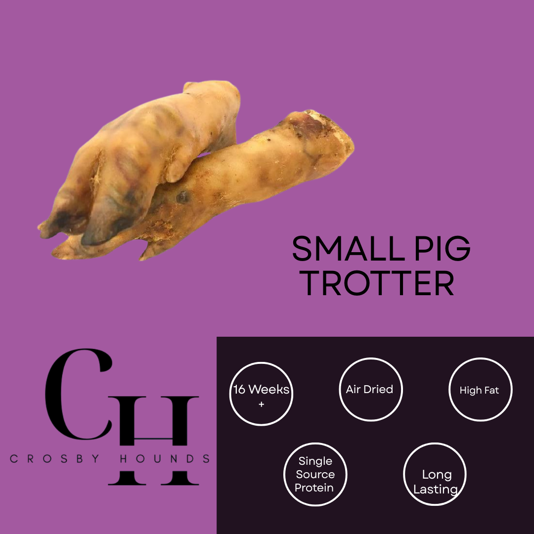 Pork / Pig - Single Source Protein Treats & Chews