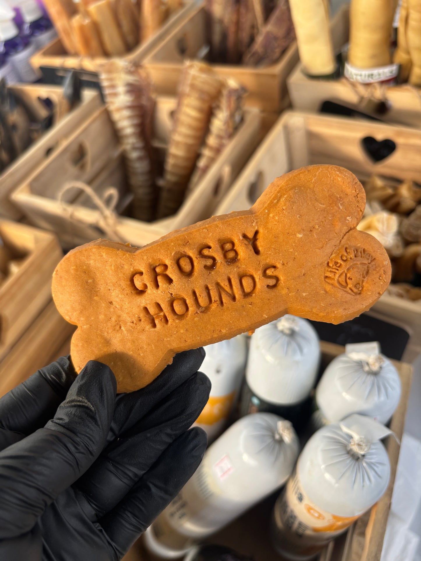 Dog bone-shaped biscuit with 'Crosby Hounds' branding held by a gloved hand, with blurred background.