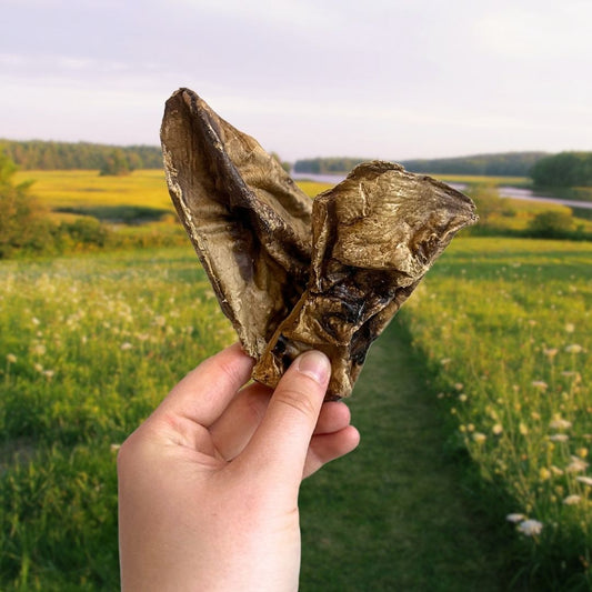 Lamb Jerky - puffed