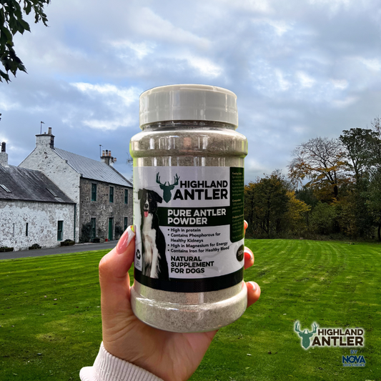Antler Powder