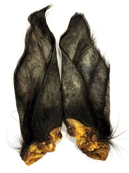 Buffalo Ears