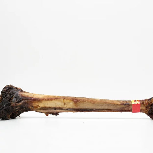 Caveman Bone - Ostrich