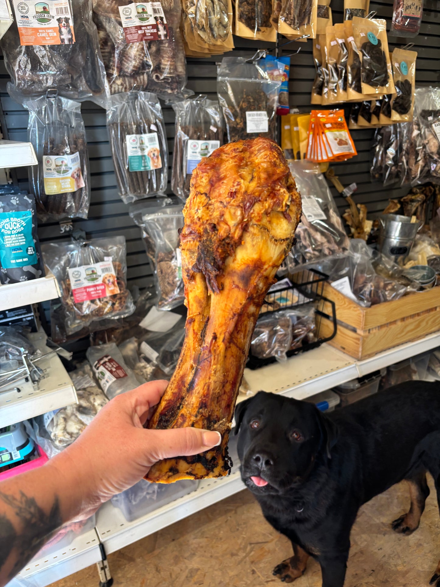 Hand holding a large dog bone in front of a store shelf with pet supplies.