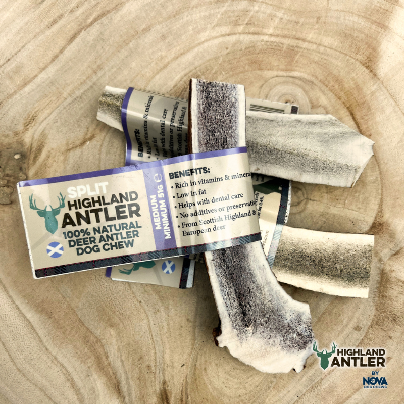 Antler - Split - Various Sizes