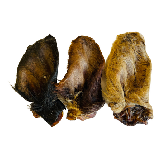 Cow Ears Medium (with fur)