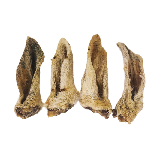 Lamb Ears - with fur 5 pack