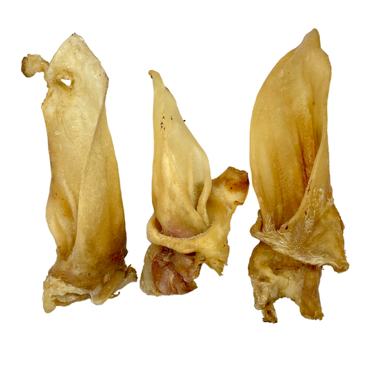 Lamb Ears no fur 5 pack
