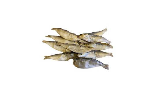 Sardines