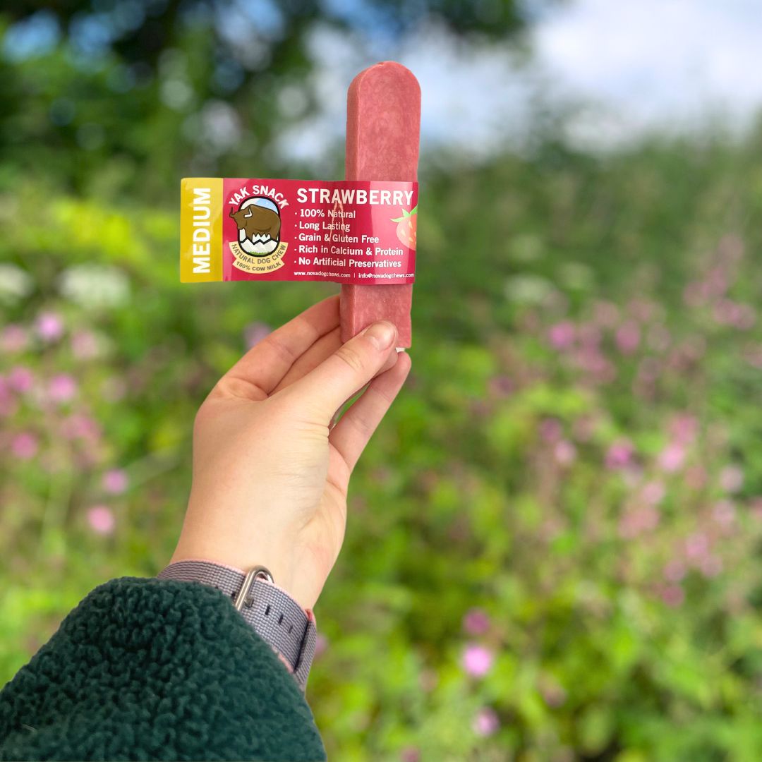 Hand holding a strawberry-flavored snack stick with a blurred natural background